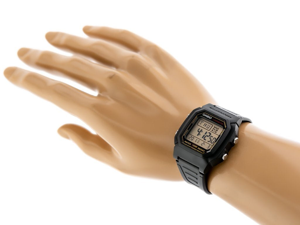 ΑΝΔΡΙΚΟ ΡΟΛΟΙ CASIO W-800HG-9AVDF CLASSIC + BOX
