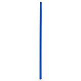 Γυμναστικό ραβδί NO10 160cm SPR-25160 B μπλε