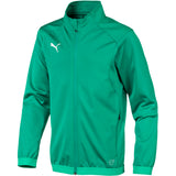 Puma Liga Training Jacket JUNIOR παιδικό φούτερ πράσινο 655688 05
