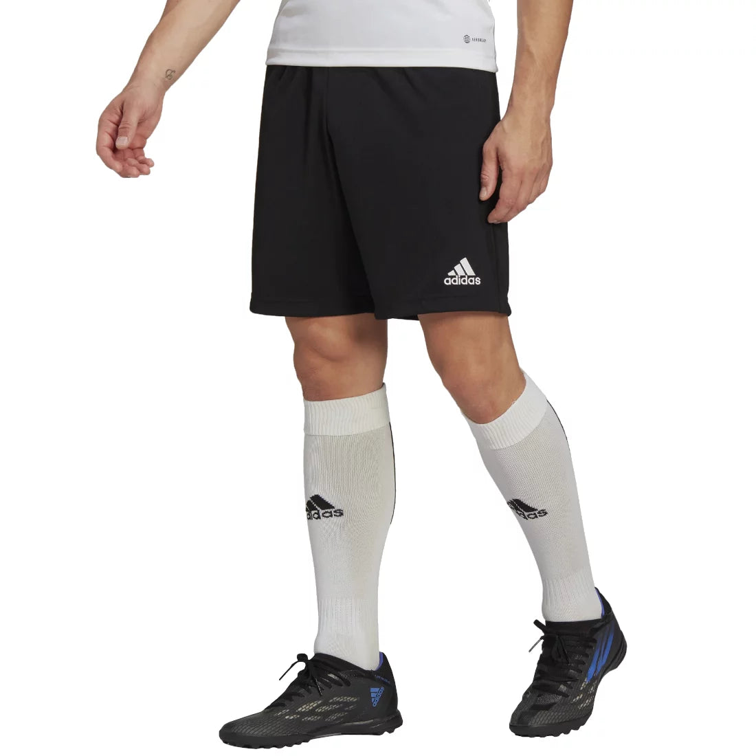 Σορτς adidas Entrada 22 HB0575