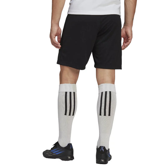 Σορτς adidas Entrada 22 HB0575