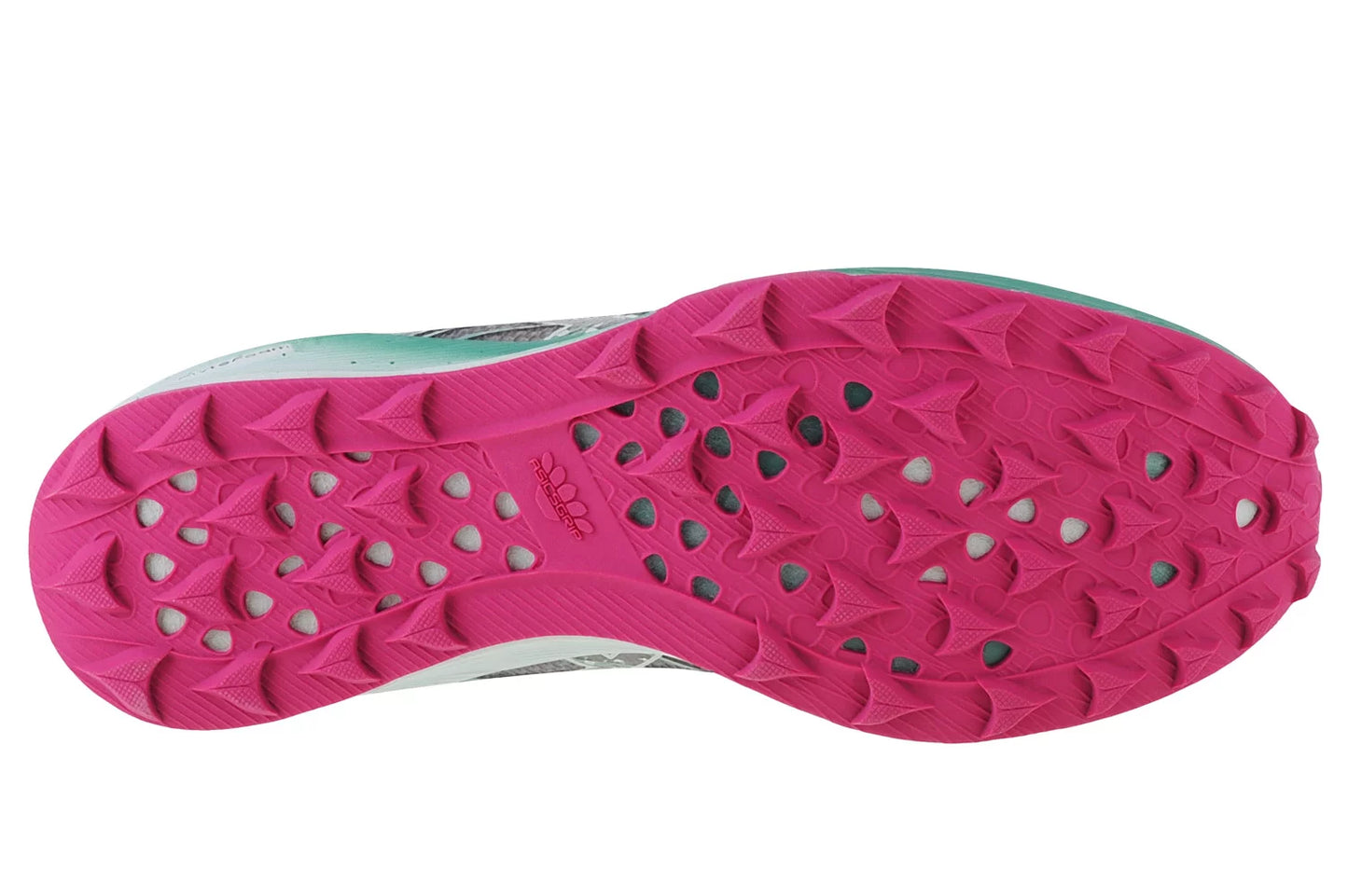 ASICS Fujispeed 1012B176-001