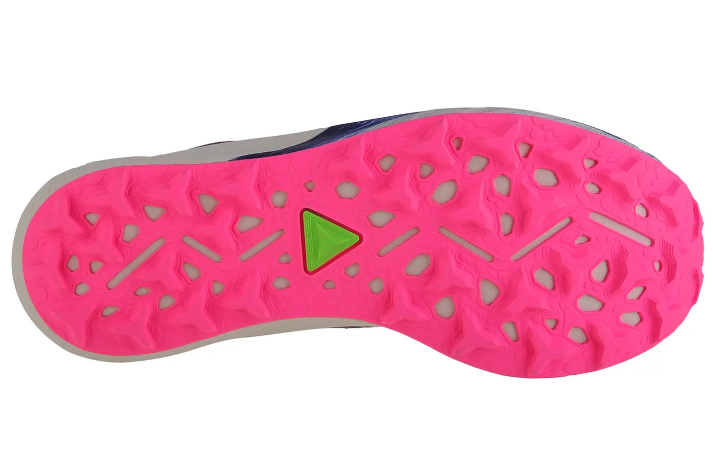 ASICS Fujispeed 2 1012B515-400
