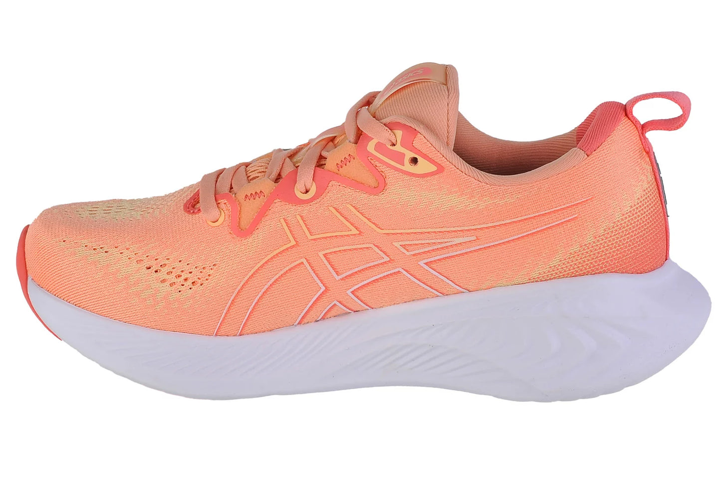 ASICS Gel-Cumulus 25 1012B441-800