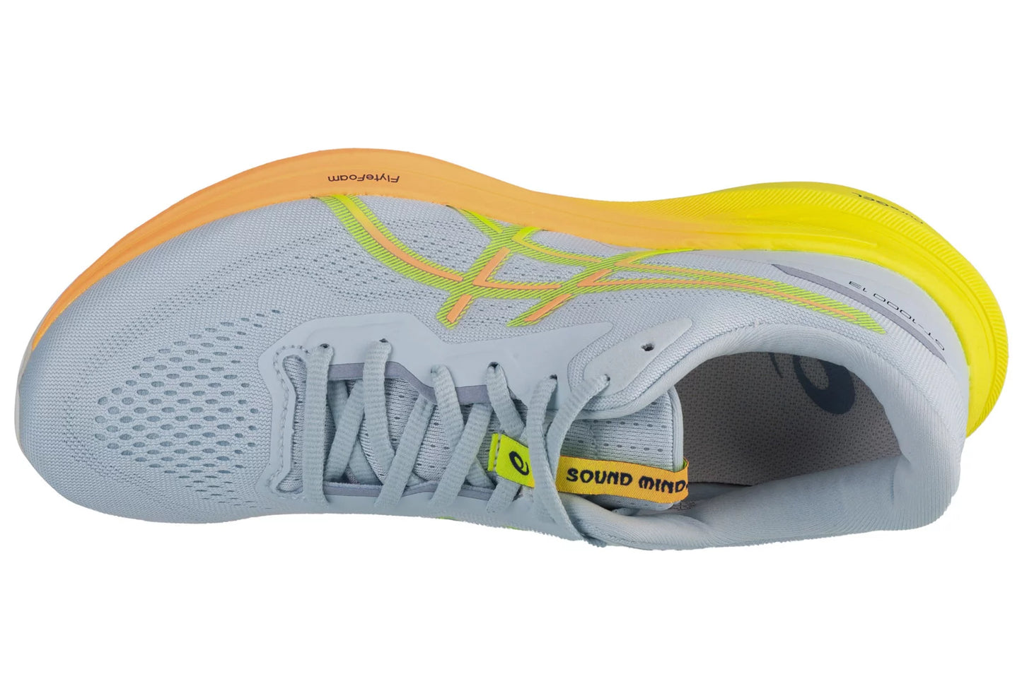 ASICS GT-1000 13 Paris 1011B952-750