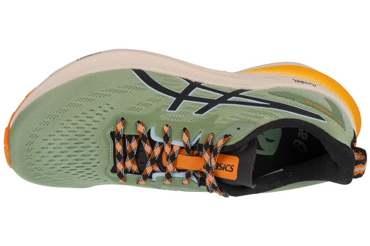 ASICS GT-2000 12 TR 1011B775-250