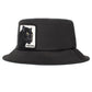 Goorin Bros. Bucktown Panther 105-0128-BLK