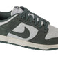 Nike Wmns Dunk Low HJ7673-002