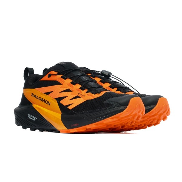 Salomon SENSE RIDE 5 GTX L47147300