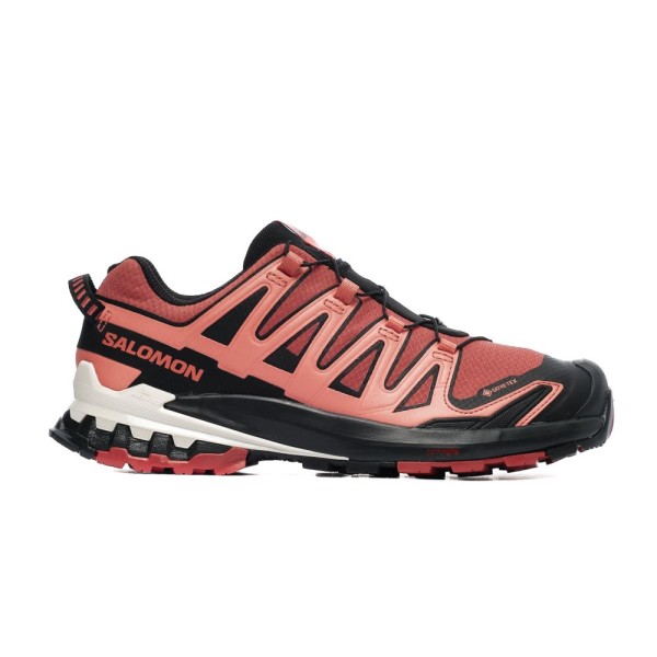 Salomon XA PRO 3D V9 GTX W L47270900