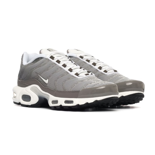 Nike Air Max Plus SE Flat Pewter DV7665-002