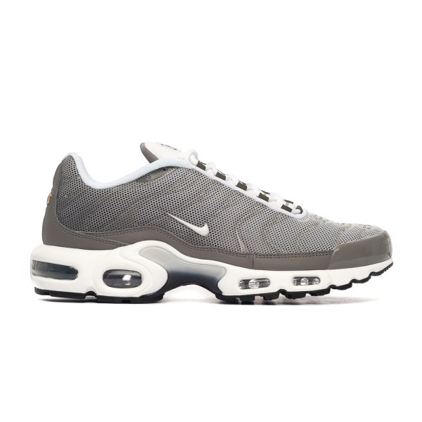 Nike Air Max Plus SE Flat Pewter DV7665-002