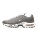 Nike Air Max Plus SE Flat Pewter DV7665-002