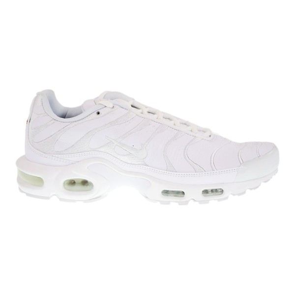 NIKE AIR MAX PLUS AJ2029-100