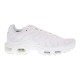 NIKE AIR MAX PLUS AJ2029-100