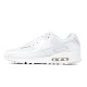 Nike AIR MAX 90 CN8490-100