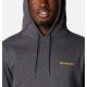 Columbia CSC Basic Logo II Hoodie 1681664008