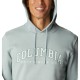 Columbia CSC Basic Logo II Hoodie 1681664350