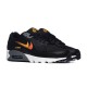 Nike AIR MAX 90 FJ4229-001