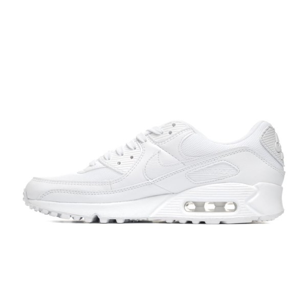 Nike Air Max 90 Women's DH8010-100