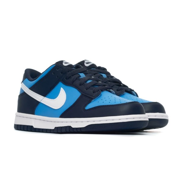 Nike DUNK LOW GS HF0031-400