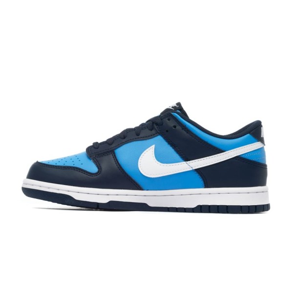 Nike DUNK LOW GS HF0031-400