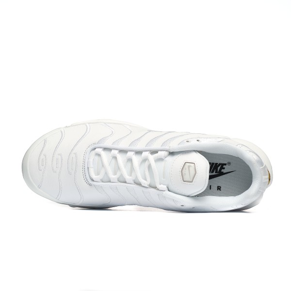 NIKE AIR MAX PLUS AJ2029-100