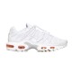 Nike AIR MAX PLUS UTILITY FJ4232-100