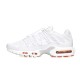 Nike AIR MAX PLUS UTILITY FJ4232-100