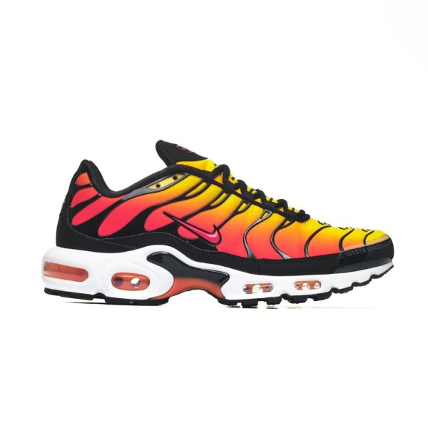 Nike AIR MAX PLUS HF0552-001