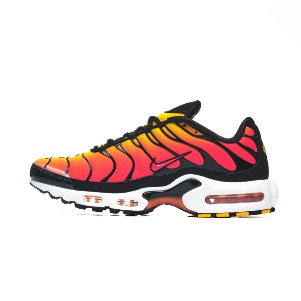 Nike AIR MAX PLUS HF0552-001