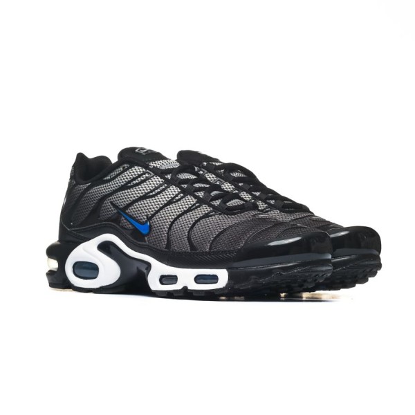 Nike AIR MAX PLUS HM0709-100