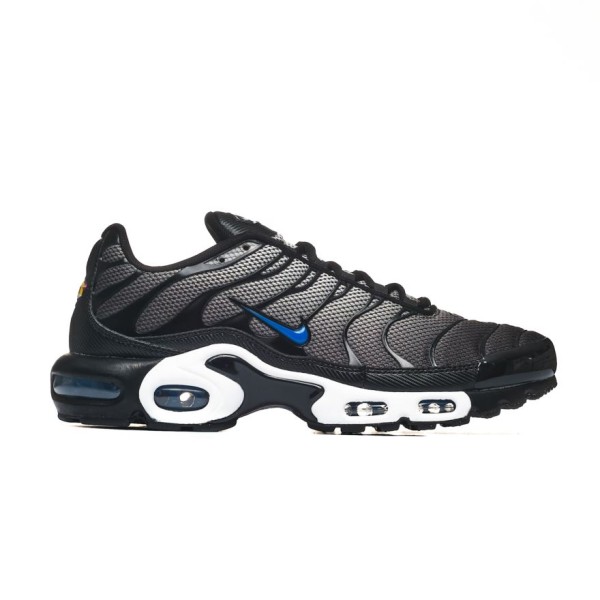 Nike AIR MAX PLUS HM0709-100