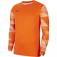 Men's goalkeeper sweatshirt Nike Dry Park IV JSY LS GK orange CJ6066 819