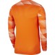 Men's goalkeeper sweatshirt Nike Dry Park IV JSY LS GK orange CJ6066 819