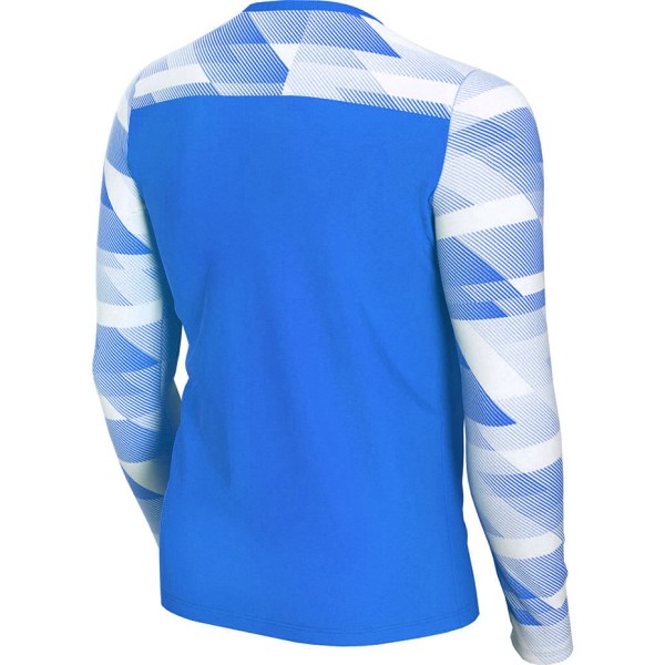 Children's goalkeeper sweatshirt Nike Dry Park IV JSY LS GK JUNIOR blue CJ6072 463