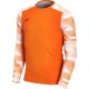 Children's goalkeeper sweatshirt Nike Dry Park IV JSY LS GK JUNIOR orange CJ6072 819