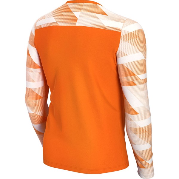 Children's goalkeeper sweatshirt Nike Dry Park IV JSY LS GK JUNIOR orange CJ6072 819