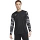 Men's goalkeeper sweatshirt Nike Dry Park IV JSY LS GK black CJ6066 010