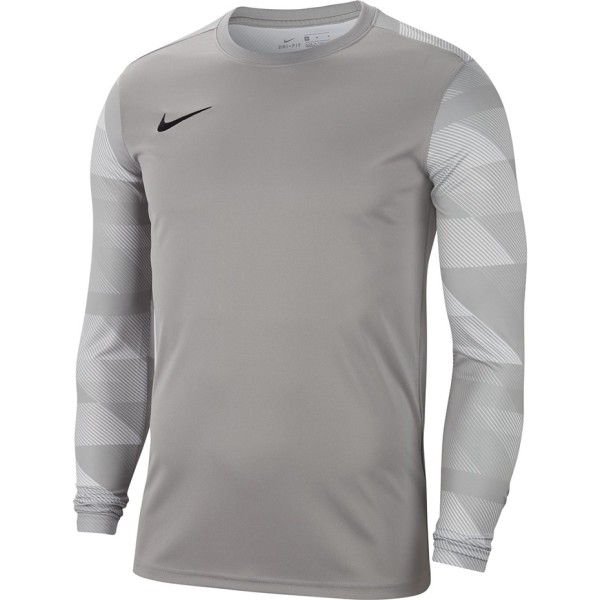 Men's goalkeeper sweatshirt Nike Dry Park IV JSY LS GK grey CJ6066 052