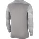 Men's goalkeeper sweatshirt Nike Dry Park IV JSY LS GK grey CJ6066 052