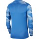 Men's goalkeeper sweatshirt Nike Dry Park IV JSY LS GK blue CJ6066 463