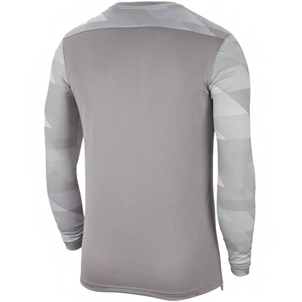 Children's goalkeeper sweatshirt Nike Dry Park IV JSY LS GK JUNIOR grey CJ6072 052