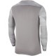 Children's goalkeeper sweatshirt Nike Dry Park IV JSY LS GK JUNIOR grey CJ6072 052