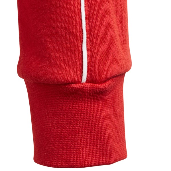 Children's adidas Core 18 Hoody JUNIOR sweatshirt red CV3431