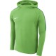 Men's sweatshirt Nike Dry Academy 18 Hoodie PO green AH9608 361