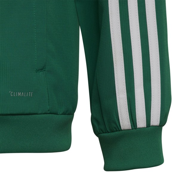 Children's sweatshirt adidas Tiro 19 Presentation Jacket JUNIOR green DW4790