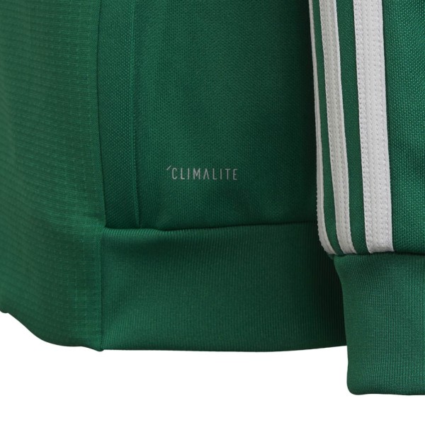 Children's sweatshirt adidas Tiro 19 Training Jacket JUNIOR green DW4797