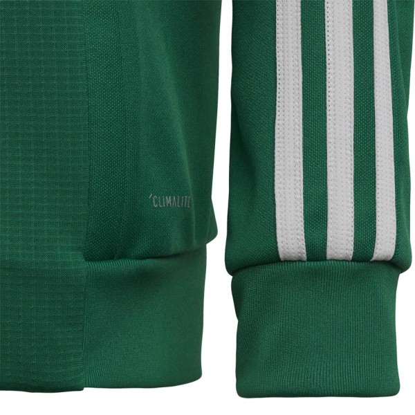 Children's sweatshirt adidas Tiro 19 Training Jacket JUNIOR green DW4797