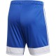 Adidas Tastigo 19 Children's Shorts JUNIOR blue DP3682/DP3686